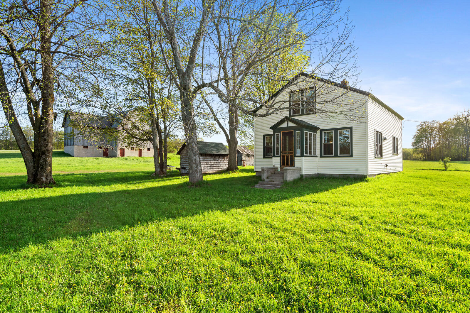 Property Photo: 3965 Saint Nicholas Road MI 49769