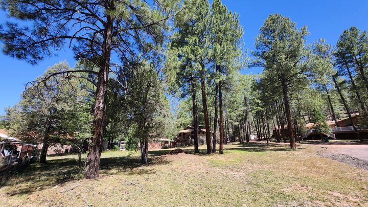 Property Photo:  181 Cedar Circle  AZ 85541 