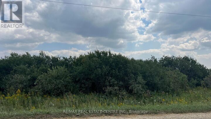 Property Photo:  Lt11-17 260 Sideroad  ON L9V 2M7 