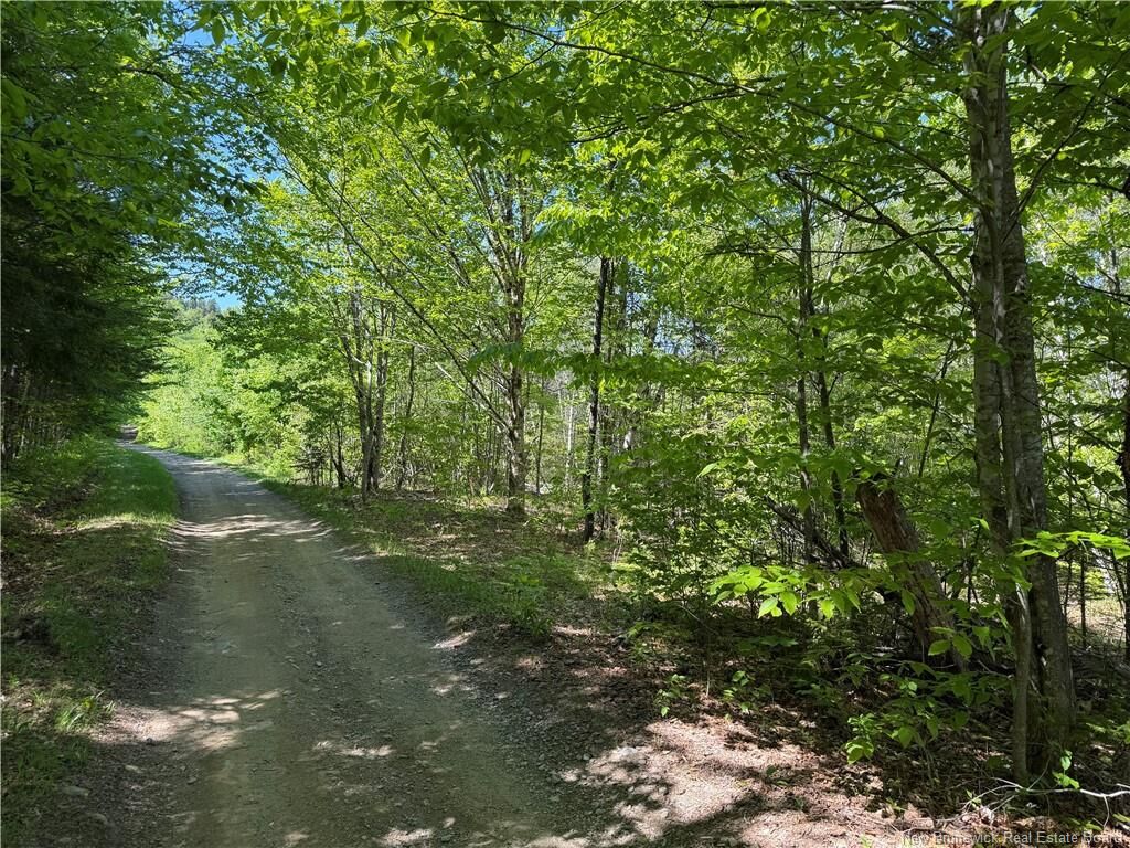 Property Photo:  124 Greenhill Lake Road  NB E6E 1G2 