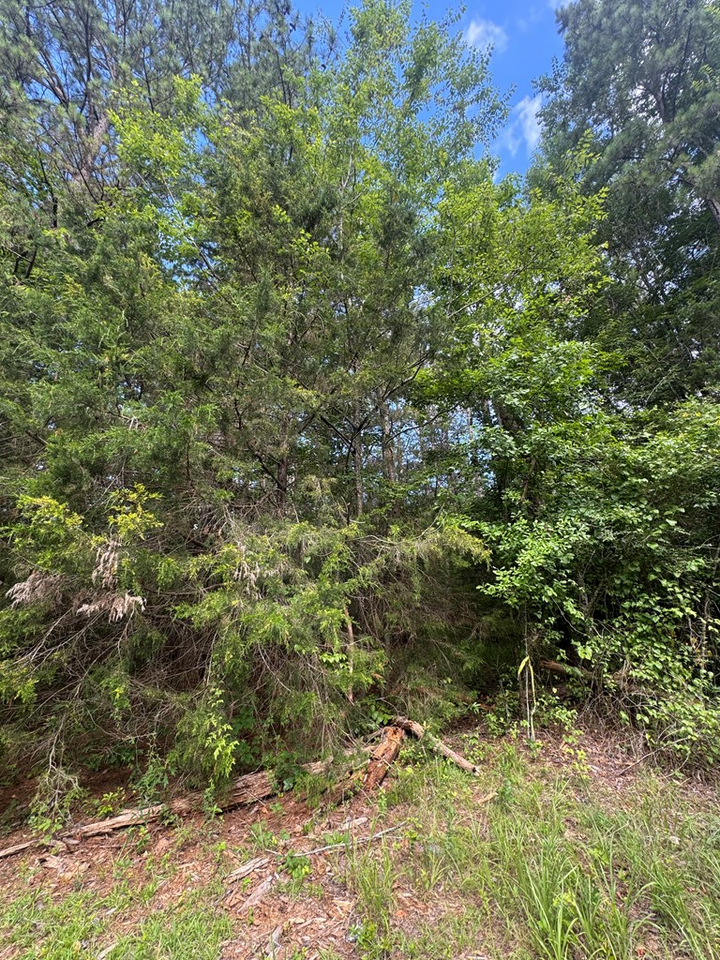 Property Photo:  0 Melody Drive  GA 31831 