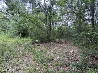 Property Photo:  11102 Coleman Road  MS 39503 