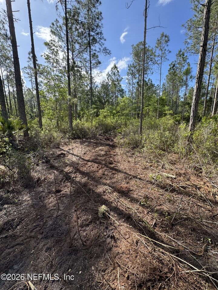 Property Photo:  114 Womp Lane  FL 32177 
