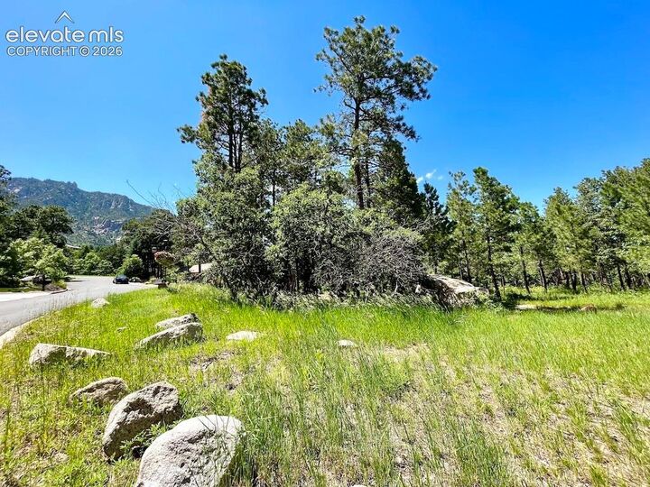 Property Photo: 584 Silver Oak Grove CO 80906