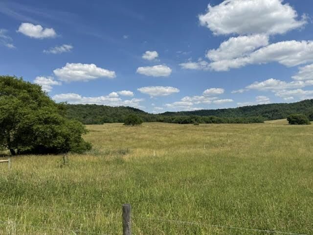 Property Photo:  Tract 5 L And N Turnpike Road  KY 42749 