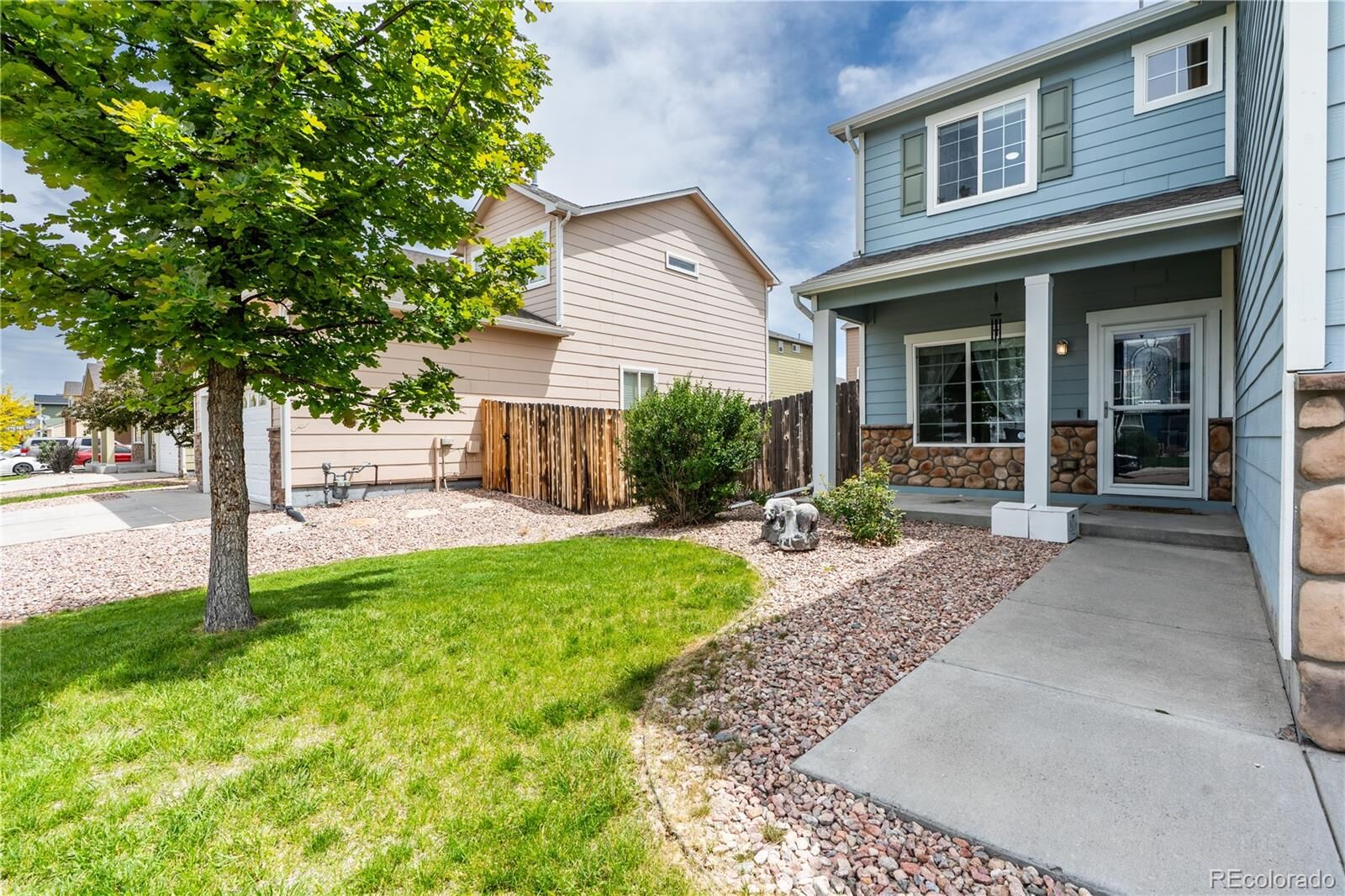 Property Photo:  9264 Sand Myrtle Drive  CO 80925 