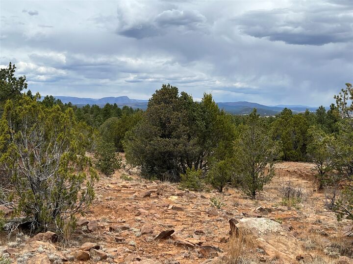 Property Photo: 36 Blue Sky Road Lot 2 NM 87701