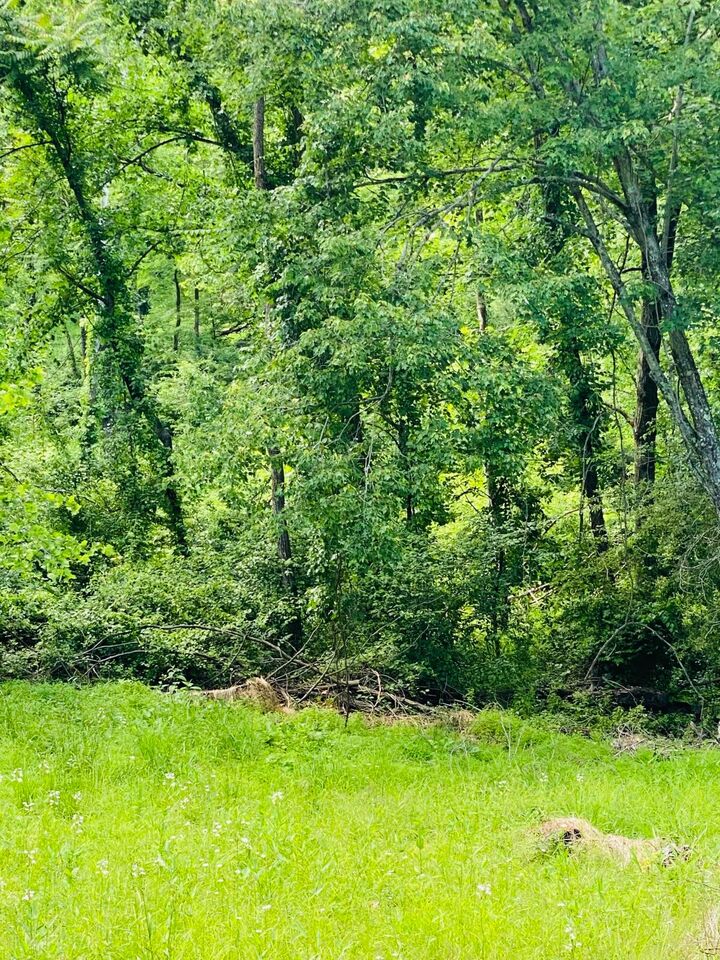 Property Photo:  4744 Spring Hill SE Road  OH 43055 