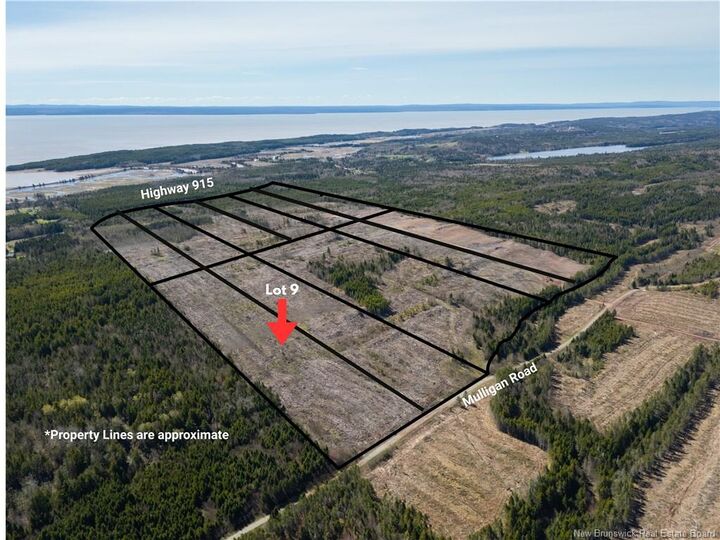 Lot 9 Route 915 — photo 1