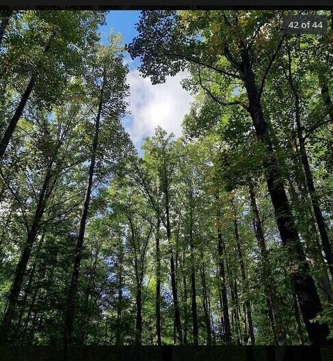 Property Photo:  0 Blackberry Trail  IN 46360 