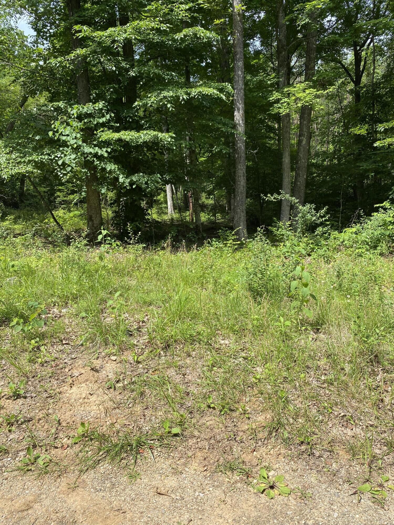 Property Photo:  0 S Maugham Drive  KY 42519 