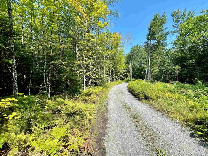 Property Photo: 501 Martins Pond Lane VT 05862