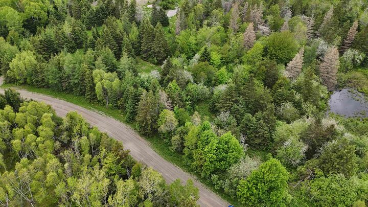 Property Photo:  E Matheson Road  NS B0K 2A0 