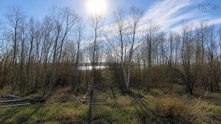 Property Photo:  Lot 1 Cornishtown Road  NS B1N 3K1 