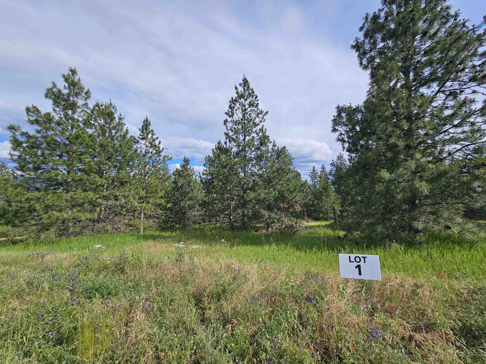 Property Photo: Nna S Sands Rd Lot 1 WA 99036