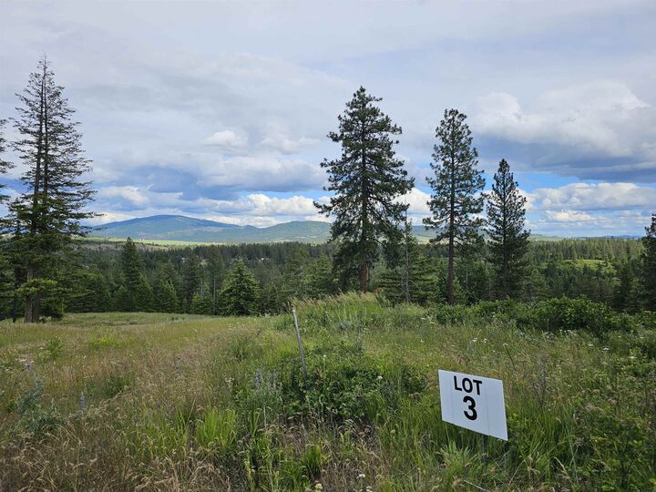 Property Photo: Nna S Sands Rd Lot 3 WA 99036