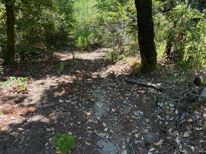 Property Photo:  30 Sunrise Mountain  CA 95421 