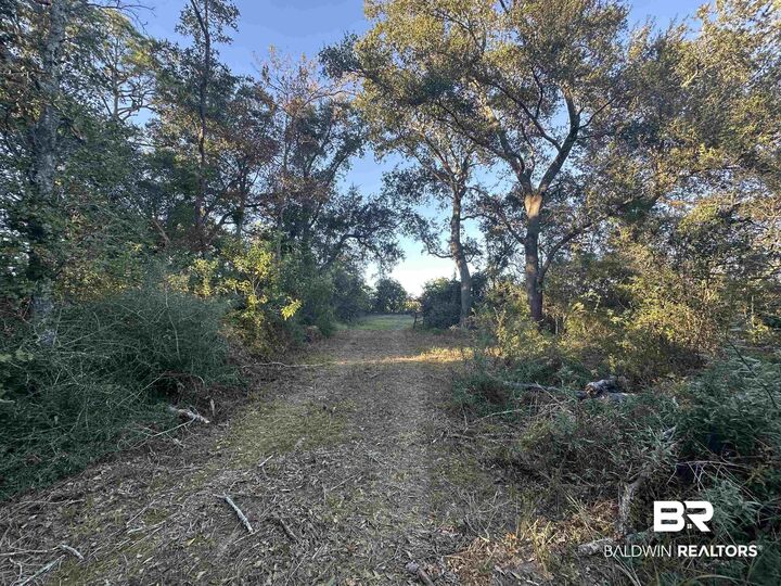 Property Photo: 0 Benton Road AL 36535