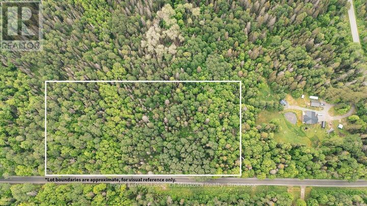 123 Ely Sideroad — photo 1