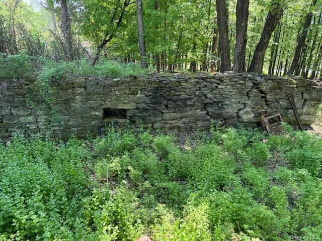 Property Photo:  00 Polster  NY 12726 