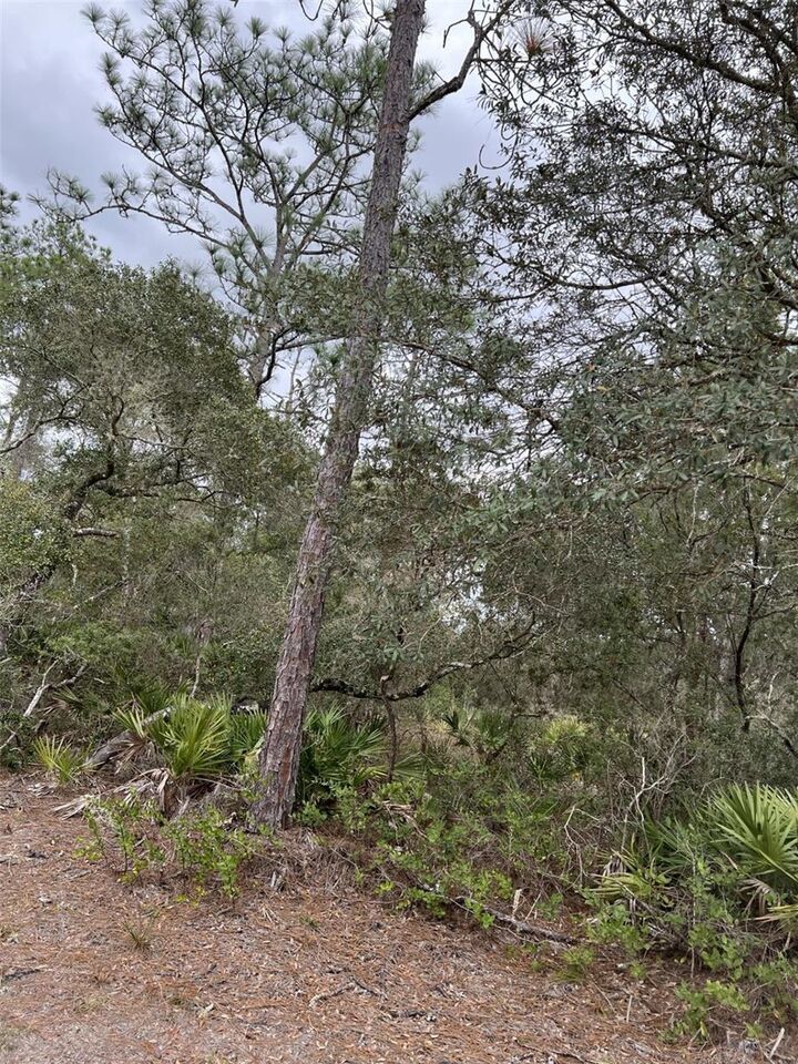 Property Photo:  0 NE 144th Court  FL 32134 