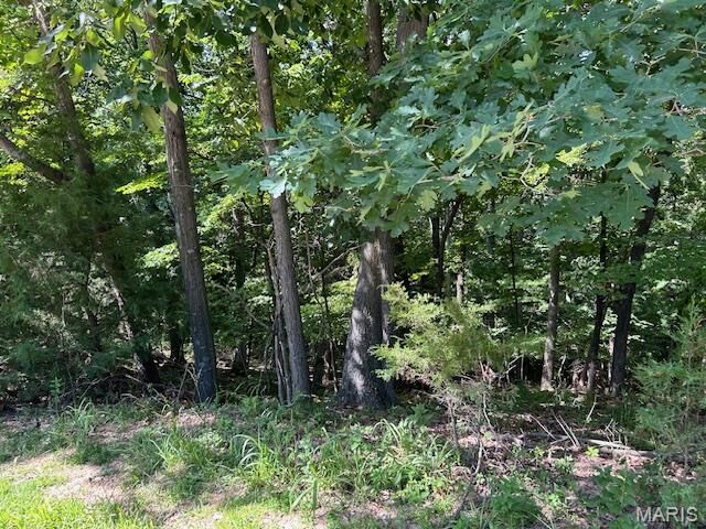 Property Photo: 817 Wildflower Valley Drive MO 63049