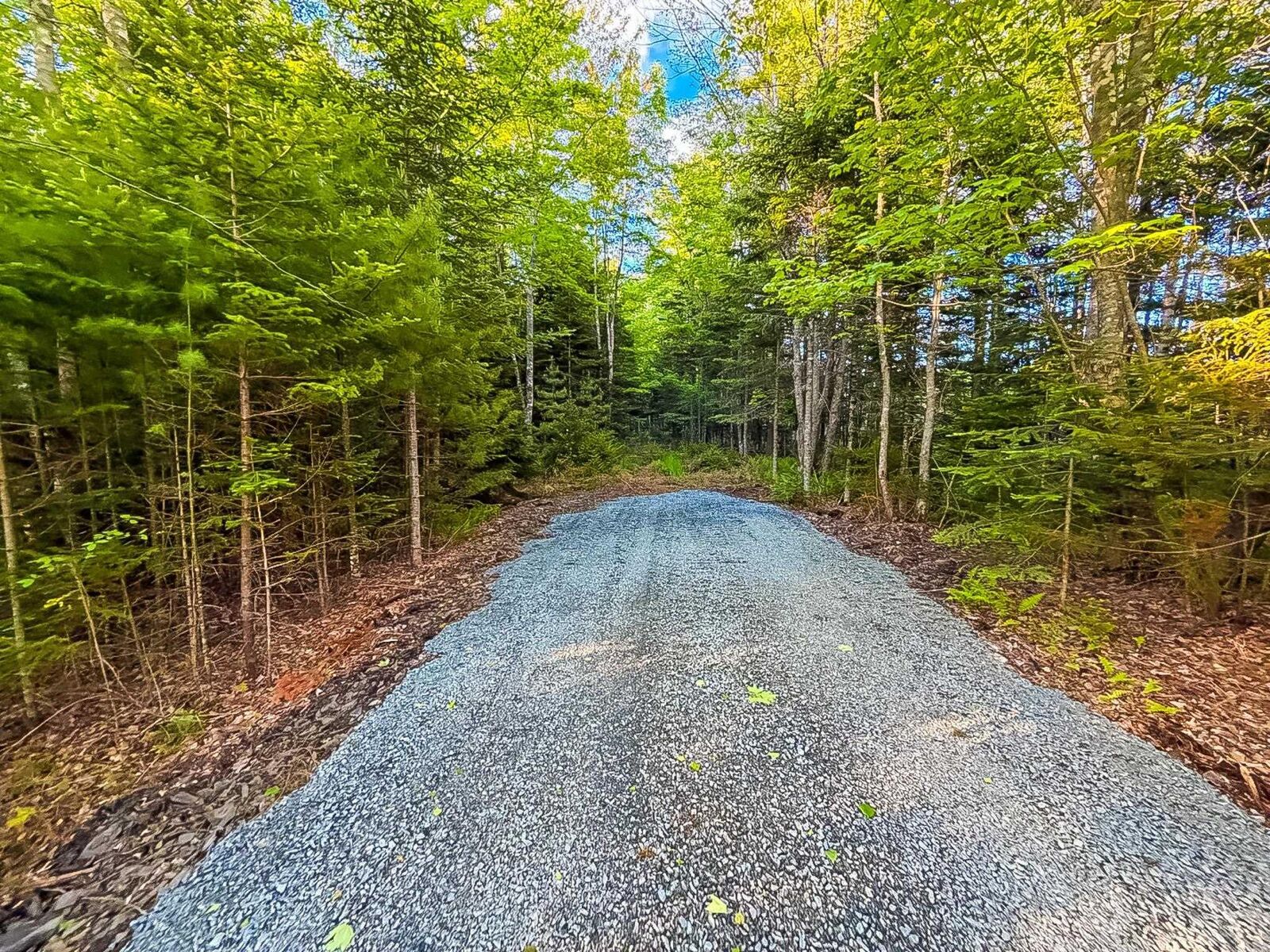 Property Photo:  Lot Pid60242856 Mullock Road  NS B4V 5N5 