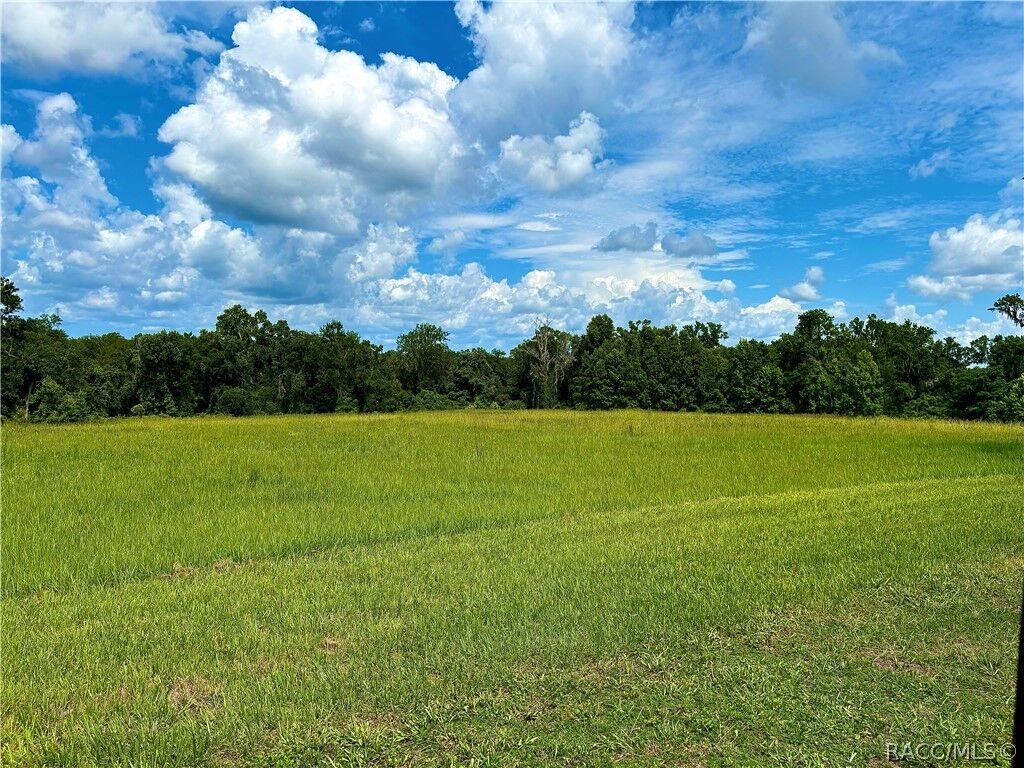 Property Photo:  000 Spring Lake Highway  FL 34601 