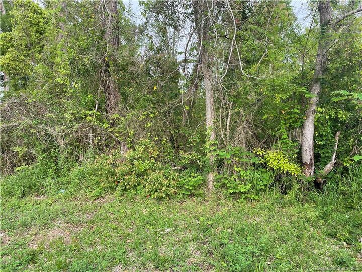 Property Photo: 0 N Booker Street N LA 70601