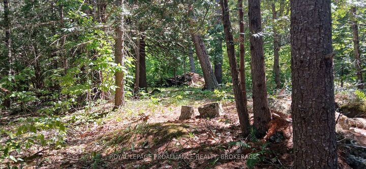 Property Photo:  1050 Lodge Lane  ON K0G 1E0 
