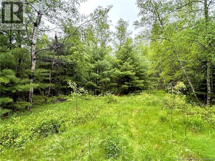 Property Photo:  1.44 Acres Kelly Road  NB E1N 0B5 