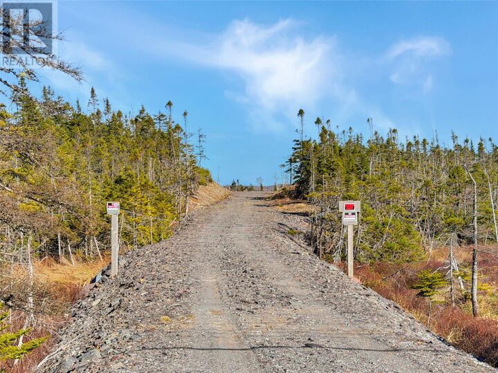 Property Photo: 556 Salmonier Line NL A0A 2R0