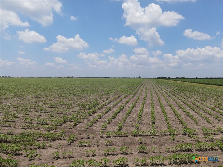Property Photo: Na Willmann Road TX 78155