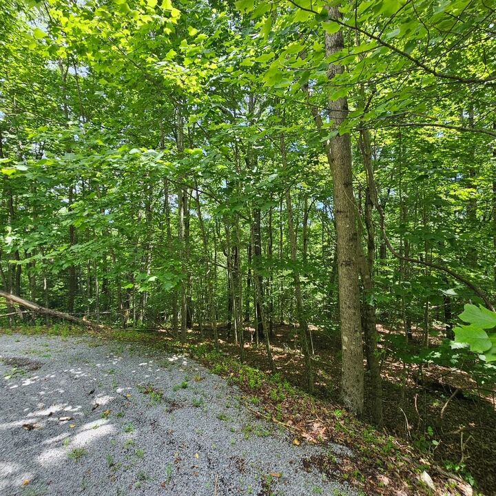 Property Photo:  Lot 555 Oak Leaf Lane  TN 37327 