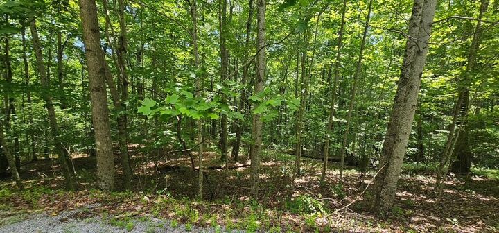 Property Photo:  Lot 555 Oak Leaf Lane  TN 37327 
