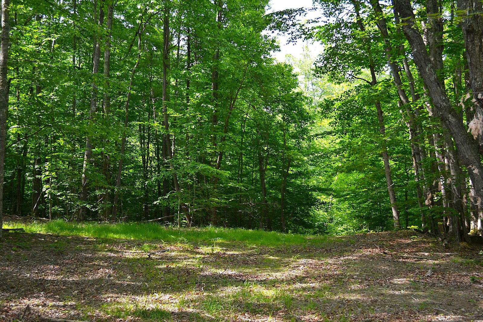 Property Photo: Cold Hollow Rd WV 25962