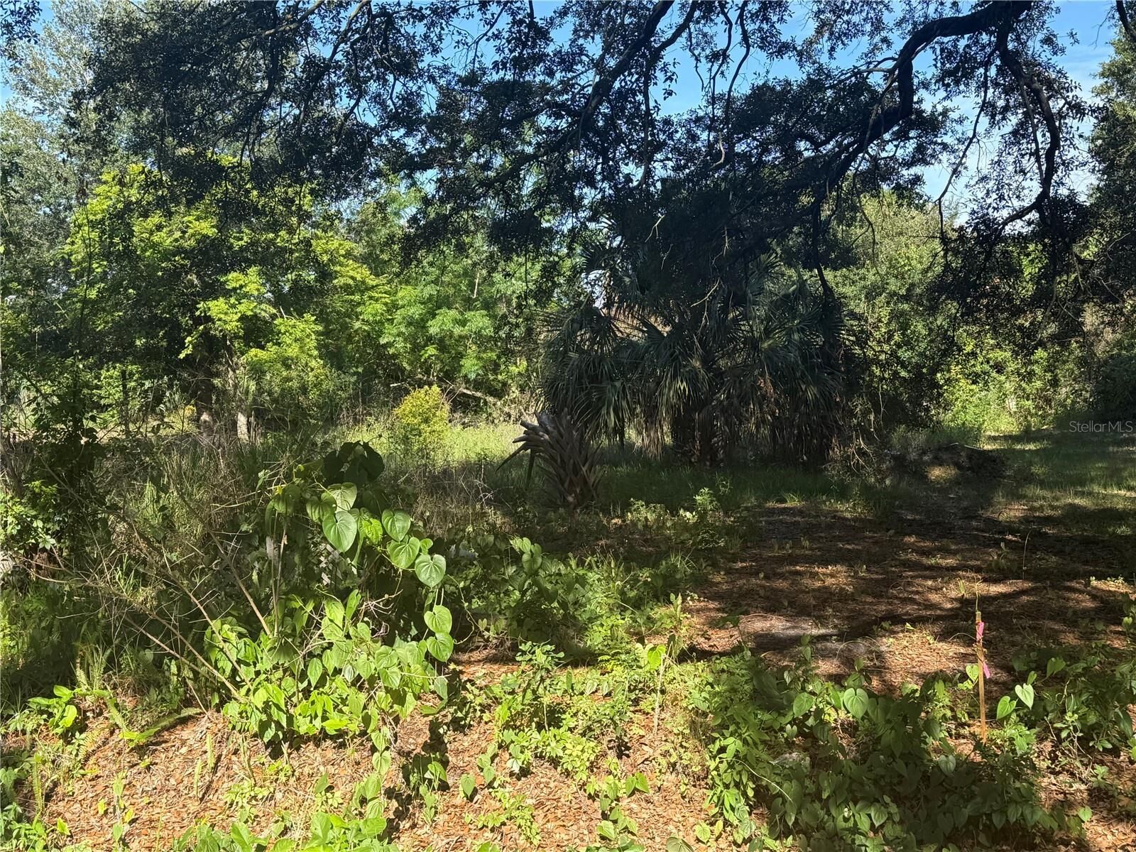 Property Photo:  1251 37th Street NW  FL 33881 