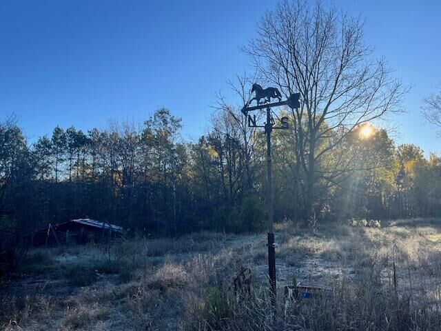 Property Photo: 9955 Wiitala Road MI 49625