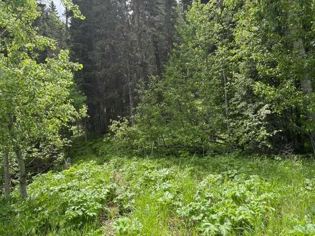 Property Photo: 229 Mountain Lion Drive AB T0L 0K0