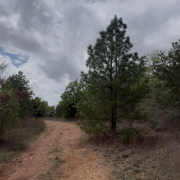 Property Photo: Lot 8 South Old Potato Road TX 78659