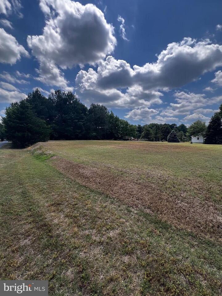 Property Photo:  0 Dirreckson Drive  DE 19945 