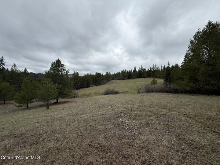 Property Photo: Parcel 200 Owl Creek Rd. Ln ID 83861