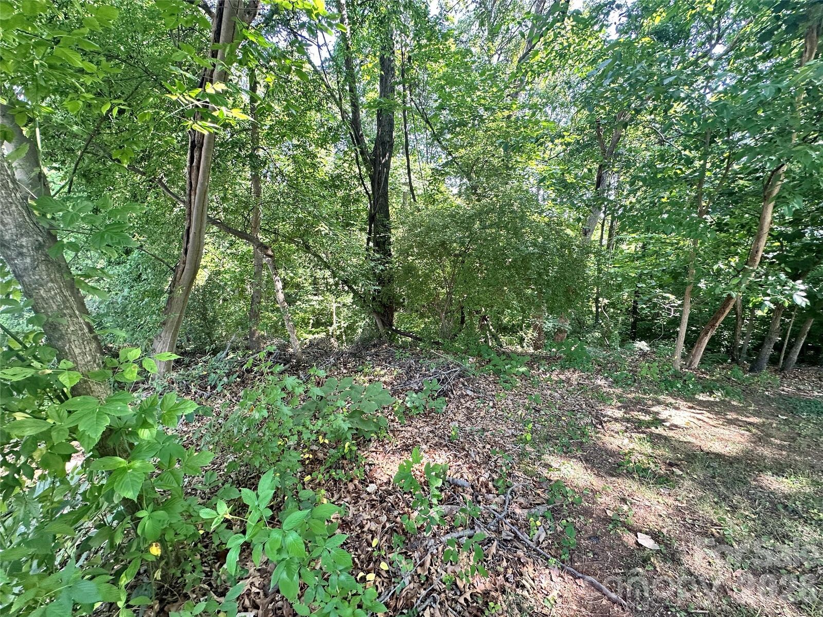 Property Photo: 7100 Colley Ford Lane 2 NC 28273