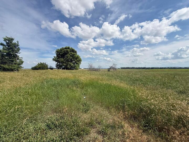Property Photo:  498 Junk Road  OH 43115 