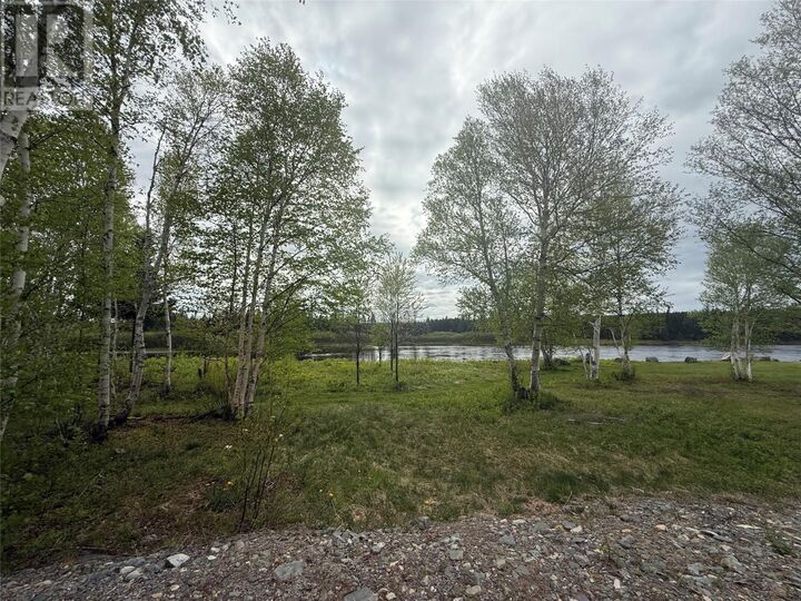 Property Photo:  6 Twenty Mile Road  NL A0H 1C0 
