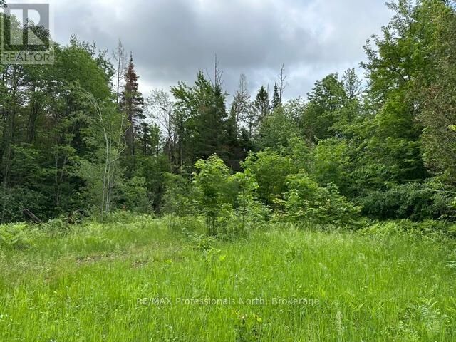 Property Photo:  1164 Ravine Road  ON K0M 2K0 