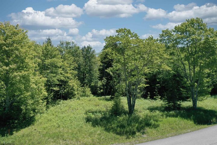 Property Photo: Lot 64 Venice Place WV 26260