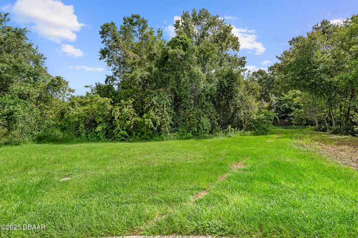 Property Photo:  1082 Yaupon Street  FL 32117 
