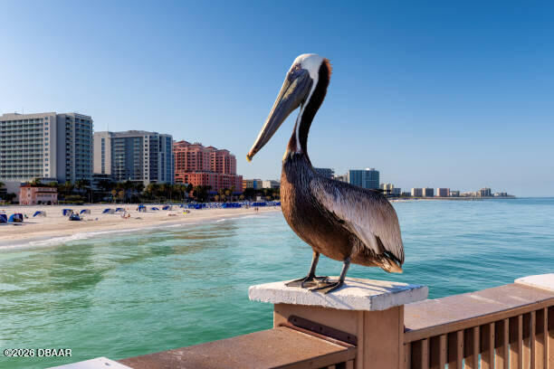 Property Photo:  2947 S Atlantic Avenue 1604  FL 32118 