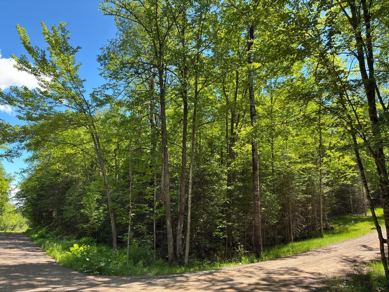Property Photo:  Off Boxberger Dr Lot 4  WI 54557 